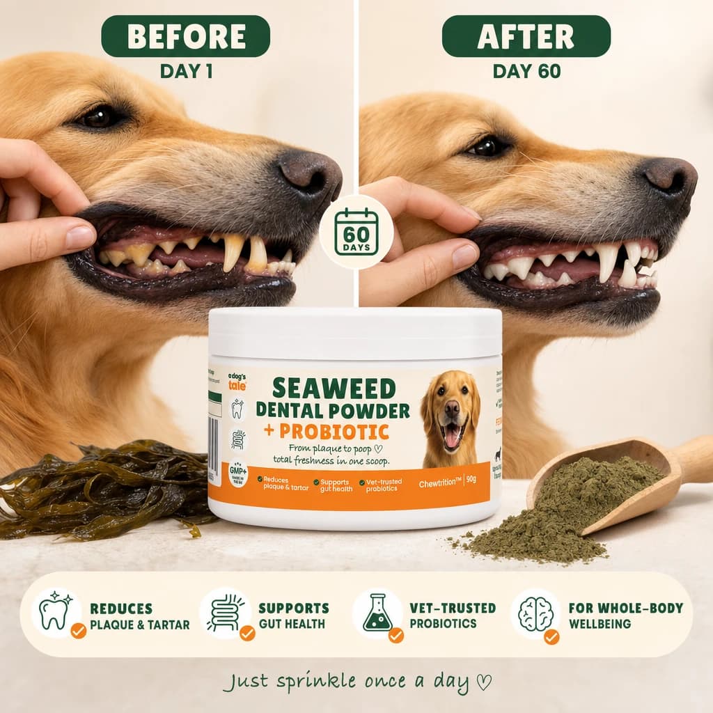 Amazon gallery image generated in Cleave showing a dog's teeth on day one beside day sixty, with the product tub in front.